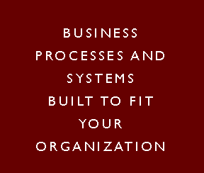 Text Box: business processes and systems BUILT TO FIT your organization